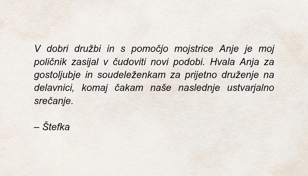 mnenje-Štefka2